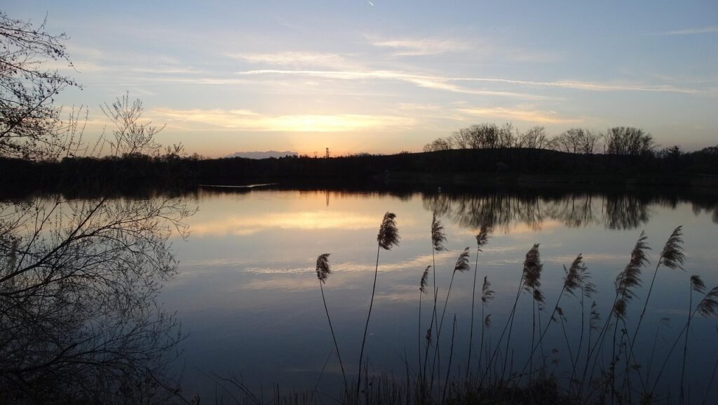 sunset, brognard, doubs, franche-comté, lake, forest, nature, reeds, france